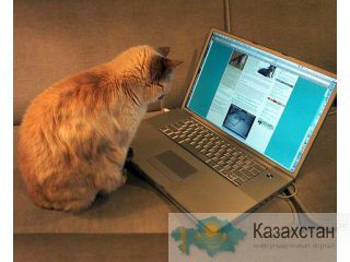 Блогер  в  информационном  офисе Алматы