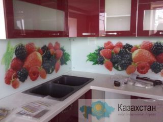 Стеклянные фартуки Караганда