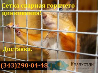 Сетка для клеток сварная оцинкованная Алматы и Алматинская область