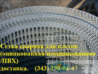Сетка сварная в рулонах Алматы и Алматинская область