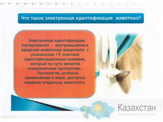 Предлагаемая услуги: Карагандинская область