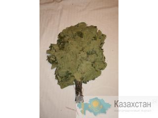 Дубовый веник для бани и сауны. Алматы и Алматинская область