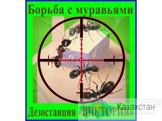 Борьба с муравьями в доме, квартире, на участке. Алматы и область. Дезостанция «ВИКТОРИЯ» Алматы и Алматинская область