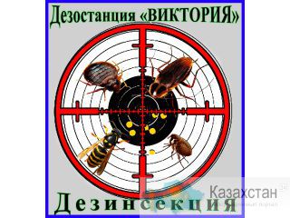 Борьба с насекомыми в помещениях и на участке. Алматы и область. Дезостанция «ВИКТОРИЯ» Алматы и Алматинская область
