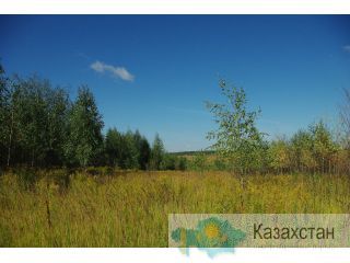 сельхозугодья в Тюменской области Алматы