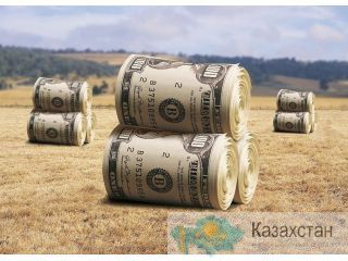 Продам земли сельхозназначения на юге Челябинской области Челябинск