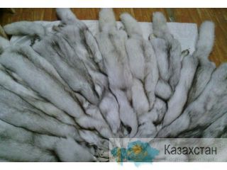 В продаже шкурки песца, куницы, енота, чернобурки и меховых опушек Астана