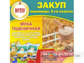 Закупаем пшеницу 3-класса разной клейковины Карагандинская область