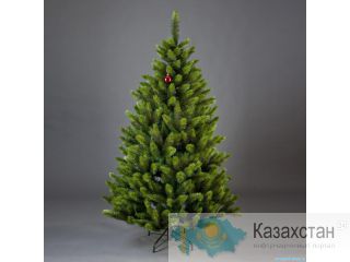 Купи Елку и забери свой подарок Алматы