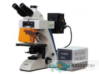 Микроскоп люминесцентный МИКМЕД-6 вариант 11 (вариант 11 М) Пенза