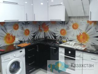 Кухонные фартуки из стекла с фотопечатью в Петропавловске. Петропавловск