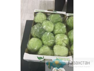Продаем свежие помидоры, огурцы оптом Алмата