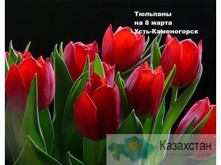 Тюльпаны на 8 марта (Усть-Каменогорск) Усть-Каменогорск
