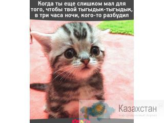 МЕТАЛОИЗДЕЛИЯ АЛМАТЫ
