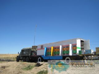 Продаётся ПАСЕКА ! Шымкент