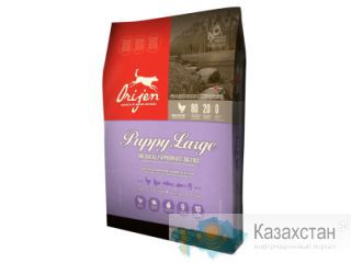 Премиум корма для кошек и собак Алматы