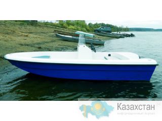 Купить лодку (катер) Wyatboat 430 C Другое месторасположение
