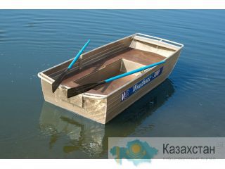 Купить лодку Wyatboat-300 Другое месторасположение