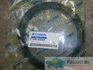 ZTAM-00064 сальник Hyundai Астана и Акмолинская область