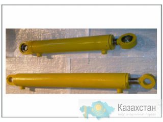 559/60146, 559/60147, 559/60163, 559/60172 Гидроцилиндр рукояти Астана и Акмолинская область