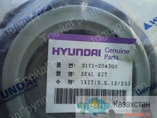 31Y1-20430 ремкомплект гидроцилиндра стрелы Hyundai R170w-7 Астана и Акмолинская область