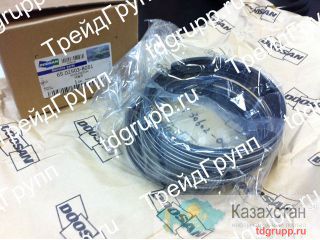 65.02503-8051 Кольца поршневые Doosan Астана и Акмолинская область