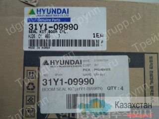 31Y1-09990 ремкомплект гидроцилиндра стрелы Hyundai R250LC-7 Астана и Акмолинская область
