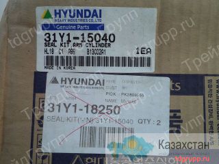 31Y1-15040 ремкомплект гидроцилиндра рукояти Hyundai R290LC-7 Астана и Акмолинская область