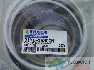31Y1-15390 ремкомплект гидроцилиндра стрелы Hyundai R290LC-7 Астана и Акмолинская область