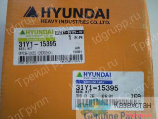 31Y1-15395 ремкомплект гидроцилиндра стрелы Hyundai R300LC-7 Астана и Акмолинская область