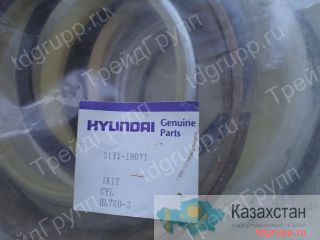 31Y1-18071 ремкомплект гидроцилиндра стрелы Hyundai R290LC-7 Астана и Акмолинская область