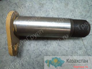 В140.21.00.010 Палец Астана и Акмолинская область