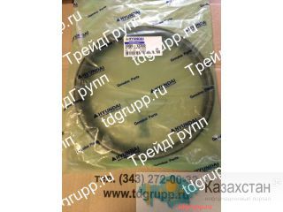 39Q6-12350 Сальник поворотного редуктора Hyundai R260LC-9 Астана и Акмолинская область