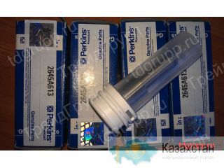 2645A613 Распылитель форсунки Perkins Астана и Акмолинская область