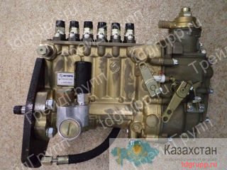 Топливный насос Д-260 ТНВД Motorpal P6M10U1F (PP6M10P1F) Астана и Акмолинская область