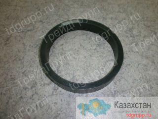 Кольцо грязеочистителя БМ-302Б.09.40.005 Астана и Акмолинская область