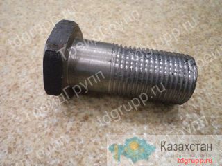 Болт специальный У33.20.09.062 Астана и Акмолинская область