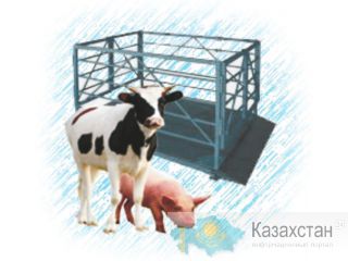 Весы животноводческие ВСП4-ЖСО Алматы и Алматинская область