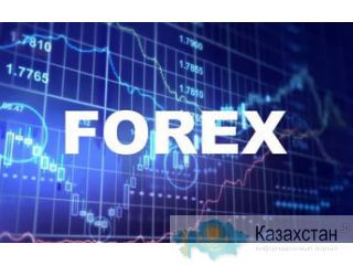 ForexChief – основные функции и особенности площадки Алматы
