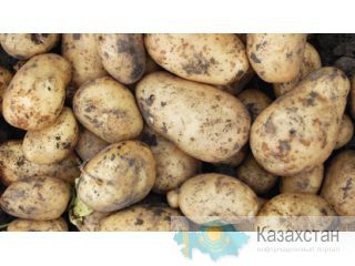 Оптом продаем продукты питания Москва