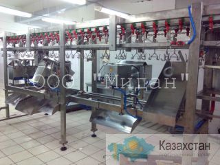 Универсальная линия разделки тушек птицы на части Курлин Северо-Казахстанская область (СКО)