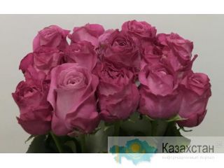 Цветы оптом и в розницу,букеты Астана
