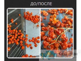 Сушильное оборудование в Днепропетровске Днепропетровск