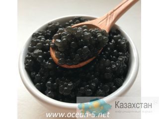 Икра палтуса свежая Астана