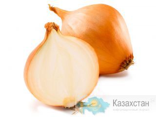 Лук репчатый Павлодар, Казахстан