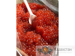 Икра кеты малосоленая свежая всего 850 рублей за килограмм Алматы