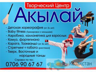 Фитнесс, аэробика,шейпинг, занятия с малышами.Комуз,фортепьяно.Карате,таэквандо.Танцы.Тверк Бишкек