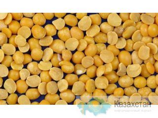 Продам горох колотый. Россия