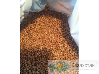 Продам качественную гречневую крупу пропаренной ядрицы. Россия