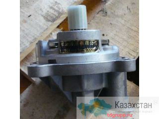 16Y-11-40000 откачивающий насос SHANTUI SD16 Астана и Акмолинская область